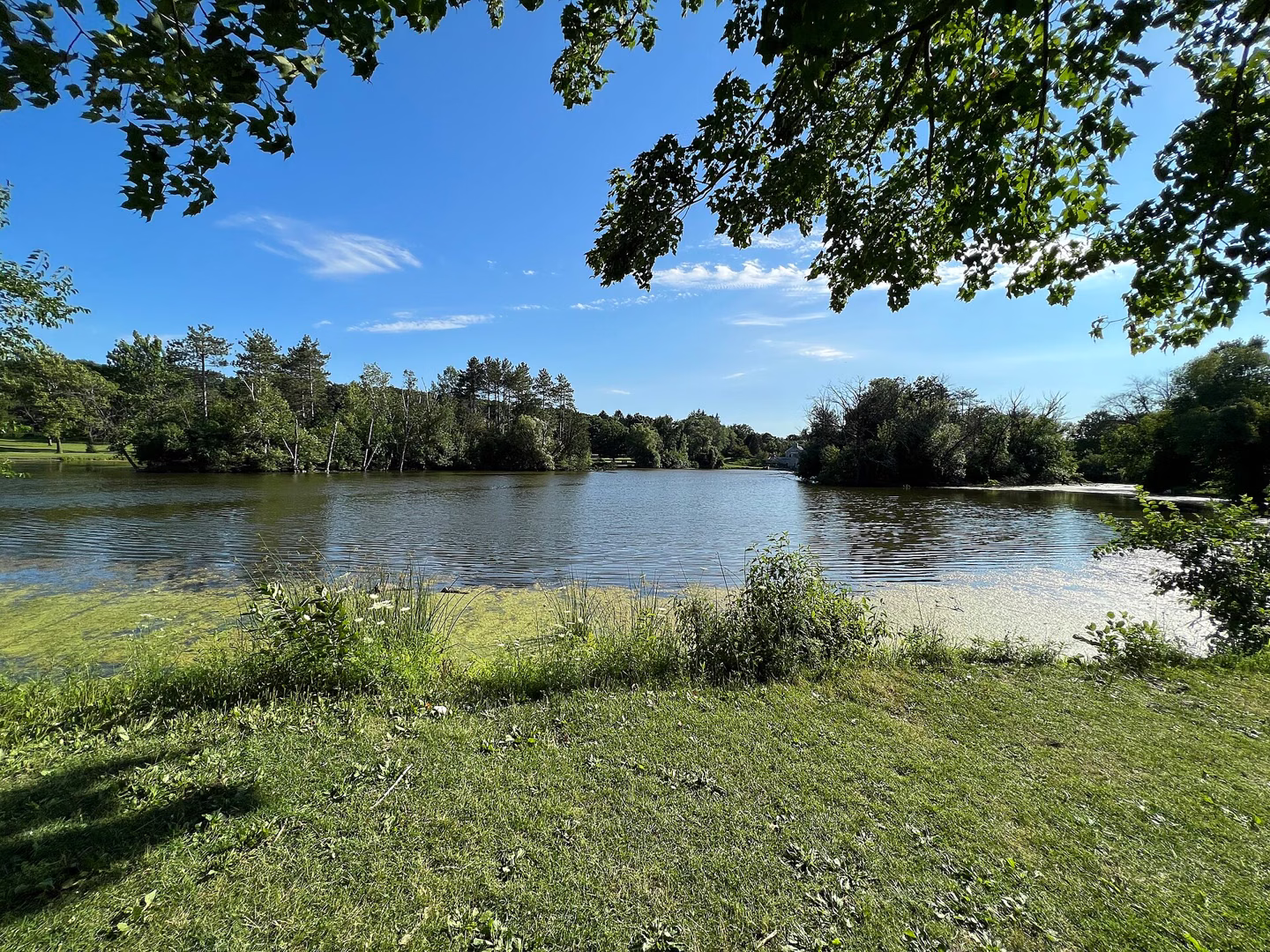 Pond at Greenfield Park, West Allis.